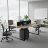 Axis Office Workstation 2016
