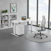 DynamicRise Sit-Stand Desk 2016